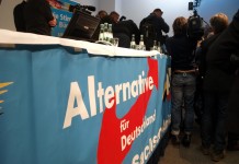 Peter: Grüne müssen wegen AfD-Erstarken neue Konstellationen erwägen